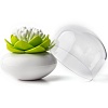 Контейнер для хранения ватных палочек Lotus, белый/ зеленый – покупайте в интернет-магазине furnitarium.ru