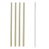 Набор из 4 соломинок из бамбука и щеточки Colour, TY1401.846V – покупайте в интернет-магазине furnitarium.ru