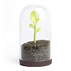 Контейнер для сыпучих продуктов Sprout Jar – покупайте в интернет-магазине furnitarium.ru